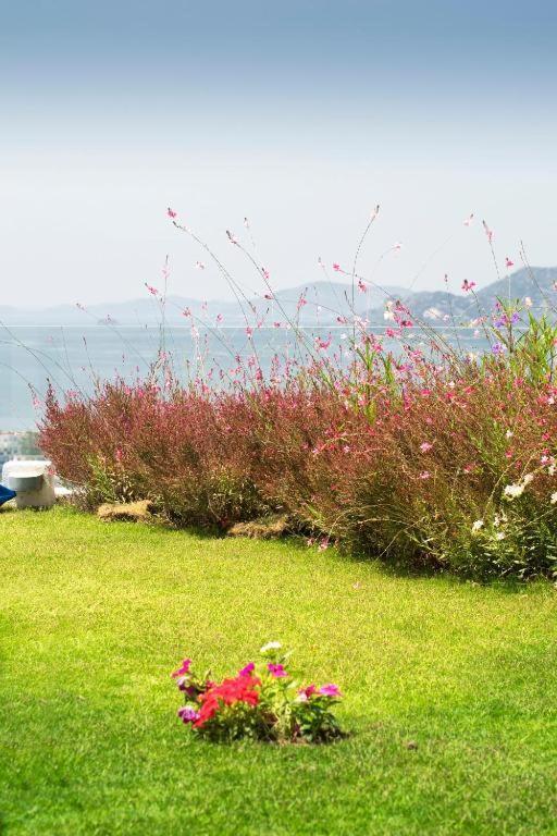 Bodrum Horizon Villas Exteriér fotografie